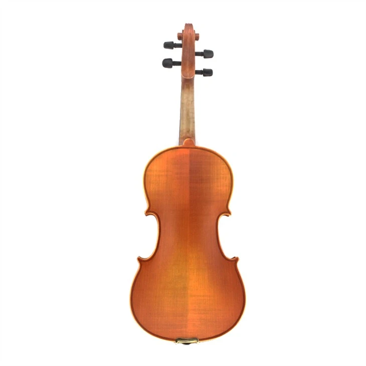 Spruce Wood Eastar Solid Violin With Case